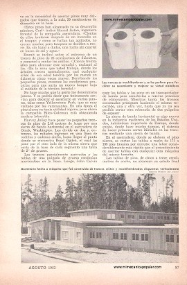 Casas Hechas de Mondadientes - Agosto 1953