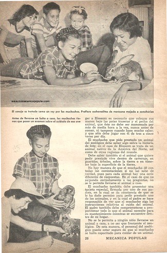 Animales a Préstamo - Junio 1953