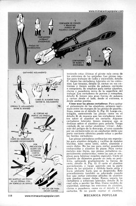 Cómo usar las pinzas - Diciembre 1953