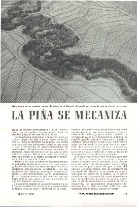 El Cultivo de la Piña se Mecaniza - Mayo 1950