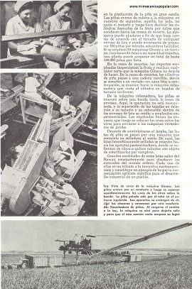 El Cultivo de la Piña se Mecaniza - Mayo 1950