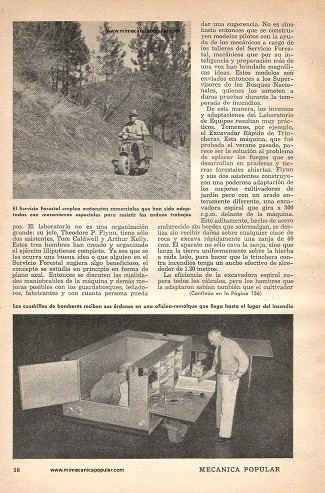Mulas y Escarabajos Mecánicos - Noviembre 1949