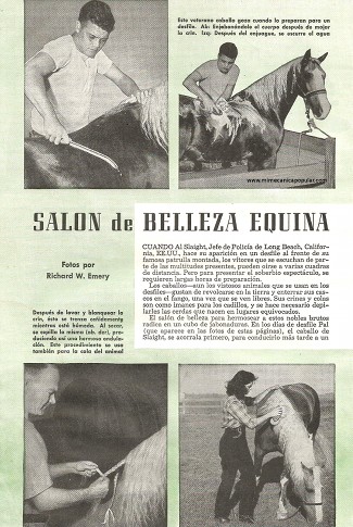 Salón de Belleza Equina - Marzo 1949