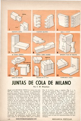 Juntas de Cola de Milano - Abril 1960