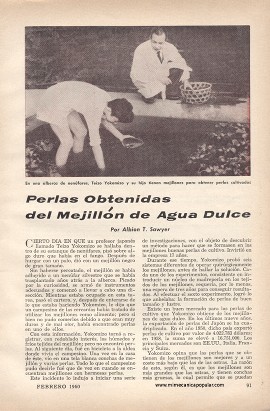 Perlas Obtenidas del Mejillón de Agua Dulce - Febrero 1960