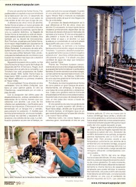 Vino Sin Alcohol - Junio 1993