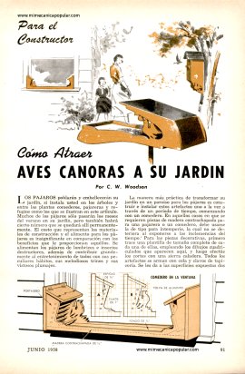 Cómo Atraer Aves Canoras a su Jardín - Junio 1958