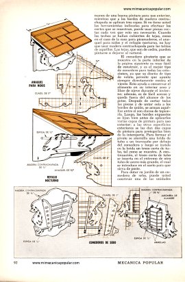 Cómo Atraer Aves Canoras a su Jardín - Junio 1958