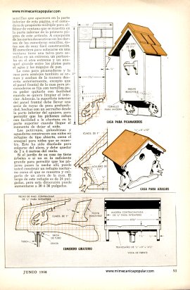 Cómo Atraer Aves Canoras a su Jardín - Junio 1958