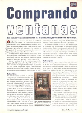 Comprando ventanas - Enero 1999