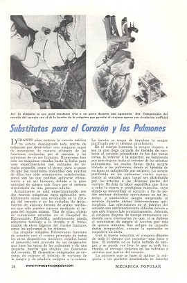 Substitutos para el Corazón y los Pulmones - Junio 1951