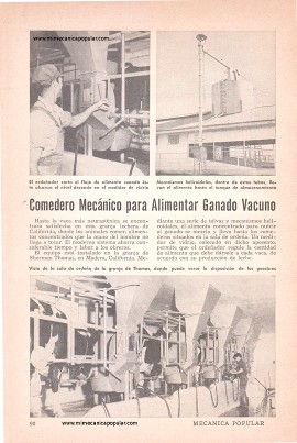 Comedero Mecánico para Alimentar Ganado Vacuno - Diciembre 1951