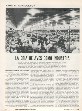 Para el agricultor: La cría de aves como industria - Diciembre 1968