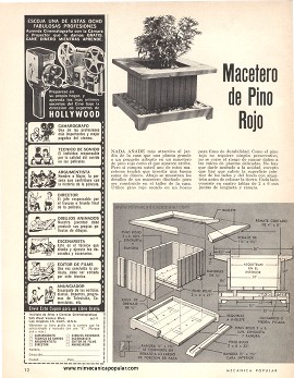 Macetero de Pino Rojo - Septiembre 1965