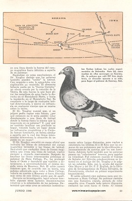 ¿Como se orientan las palomas? - Junio 1948