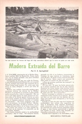 Madera Extraída del Barro - Febrero 1958