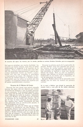 Madera Extraída del Barro - Febrero 1958