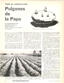 Para el Agricultor - Junio 1967