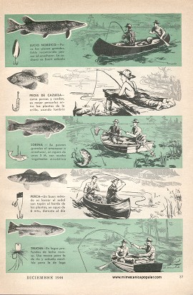 Escuela de Pescadores - Diciembre 1948