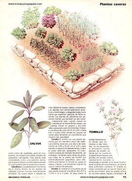 Cómo plantar un jardín básico de hierbas para su cocina - Agosto 1995