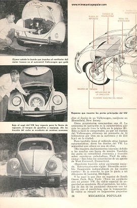 La opinión de los dueños de tres autos con motor trasero - Marzo 1954