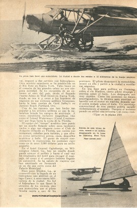 Aves Marinas... en su Medio en Tierra o Agua - Agosto 1947