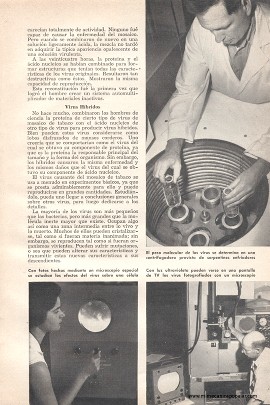 La Ciencia Escudriña Los Secretos del Virus - Octubre 1956