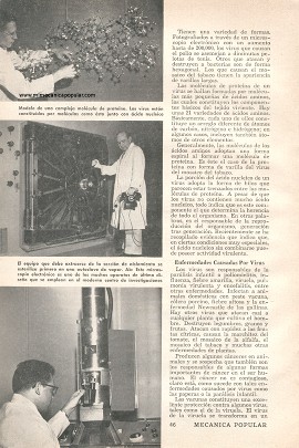 La Ciencia Escudriña Los Secretos del Virus - Octubre 1956