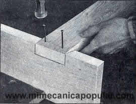 5 Aplique cola a la parte de arriba de la muesca de la tabla, y fíjela a la pata en la misma. Revise que la parte de arriba esté al ras, y fije con dos clavos 8d de cabeza, con recubrimiento, en cada pata.