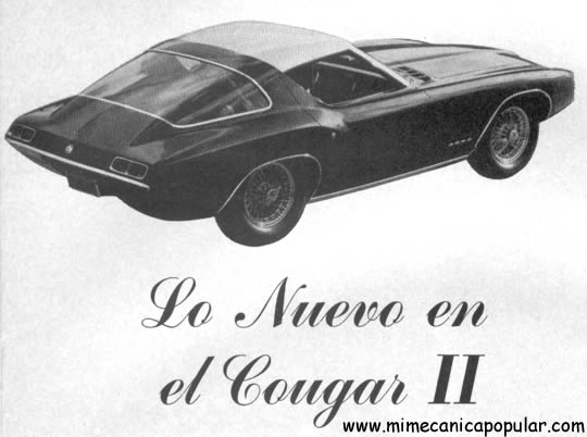 cougarii_abr64-a.jpg