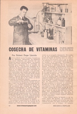 Cosecha de Vitaminas - Noviembre 1947