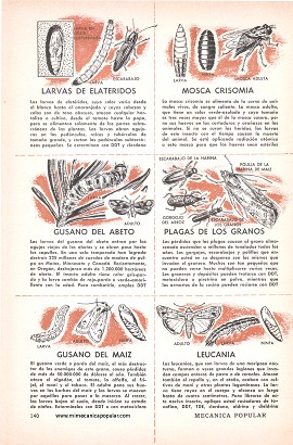 Para el Agricultor - Sus Insectos Enemigos y Cómo Combatirlos - Julio 1958