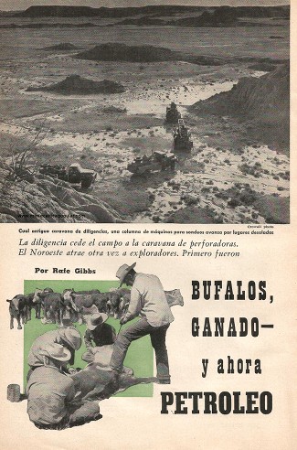 Búfalos, Ganado-y ahora Petróleo - Diciembre 1954