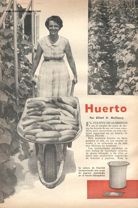 Huerto Sin Suelo de Tierra - Abril 1956