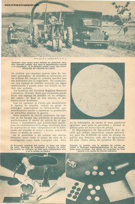 Desperdicios Aprovechados - Julio 1947