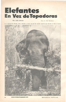 Elefantes En Vez de Topadoras - Enero 1960