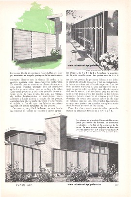 Originales y Modernas Ideas para La Vida al Aire Libre - Junio 1959