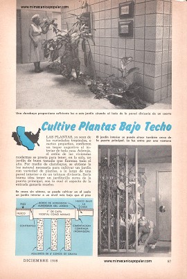 Cultive Plantas Bajo Techo - Diciembre 1958