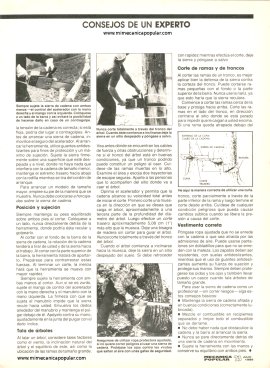 Cortes con una sierra de cadena - Julio 1989