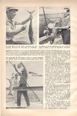 Pesca de Tiburones Con Globos - Febrero 1960