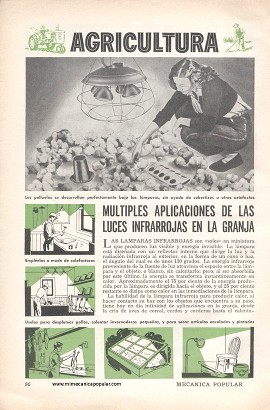 Múltiples aplicaciones de las luces infrarrojas en la granja - Febrero 1957
