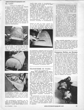 Transforme Su Patio en Una Postal De Navidad - Diciembre 1964