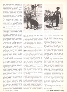 Amaestre Correctamente a su Perro - Julio 1973