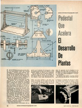 Pedestal Que Acelera El Desarrollo De Plantas - Junio 1965