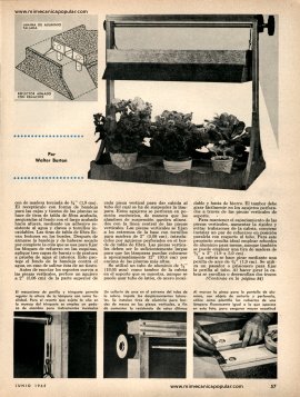 Pedestal Que Acelera El Desarrollo De Plantas - Junio 1965