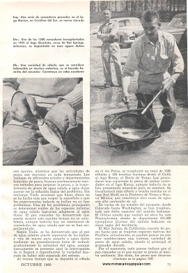 La Pesca Que Pocos Conocen -Octubre 1960