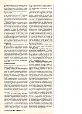 Problemas con la pintura - Julio 1988