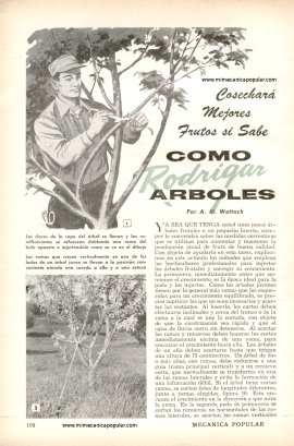 C&oacute;mo Rodrigar Arboles - Noviembre 1958