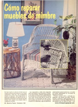 Cómo reparar muebles de mimbre - Noviembre 1981
