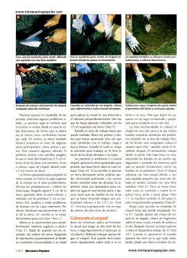Coloca una nueva capa de c&eacute;sped - Noviembre 2000